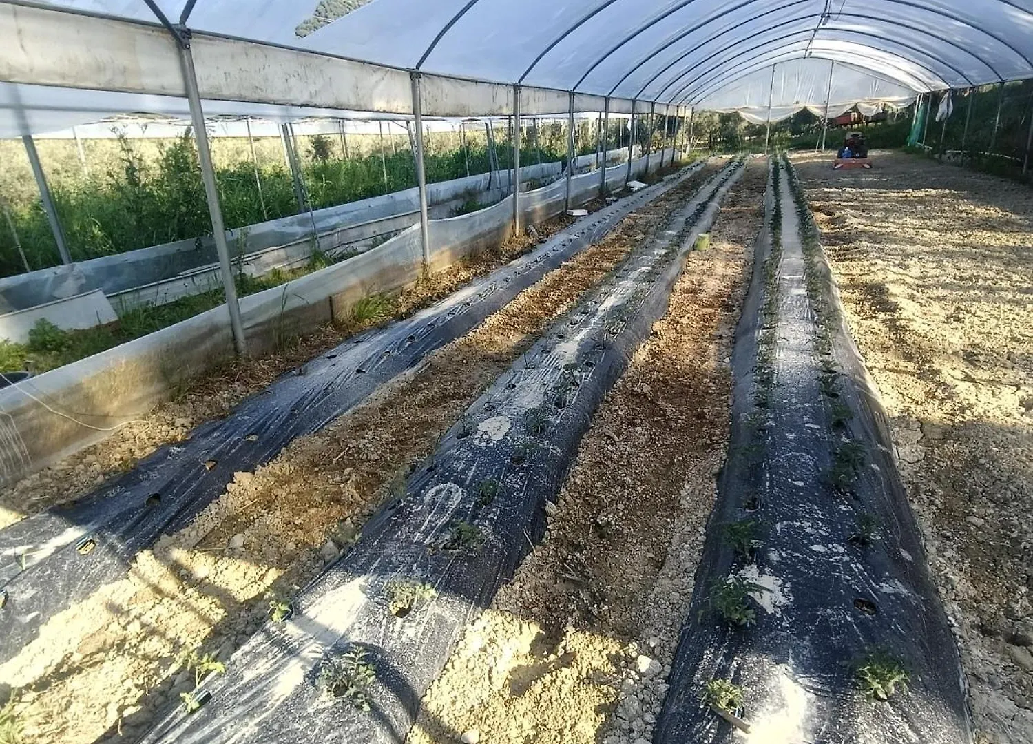 Agriturismo Il Cappellano Řím Itálie